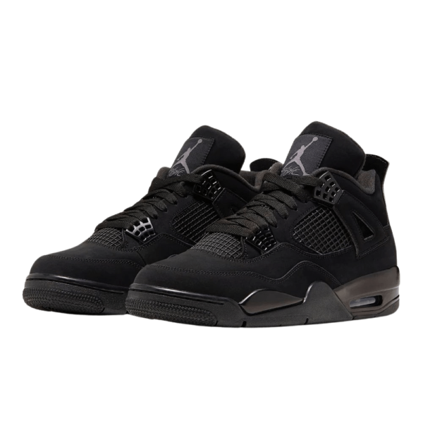 Air Jordan 4 (Black Cat)